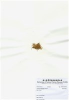 藏品(異枝軟骨凹頂藻)的圖片